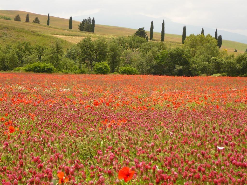 Agriturismo Casalpiano Pienza Exterior foto